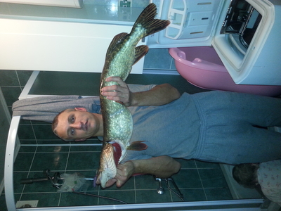 Northern Pike