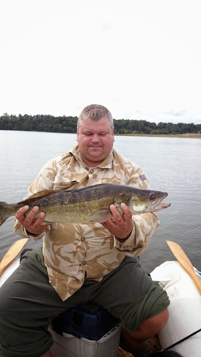 Pike perch