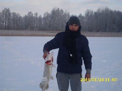 Northern Pike