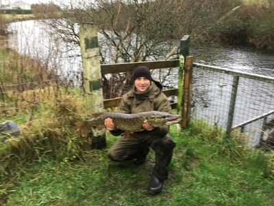 Northern Pike