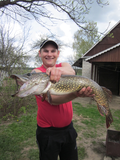 Northern Pike