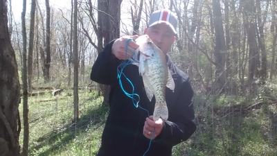 White Crappie