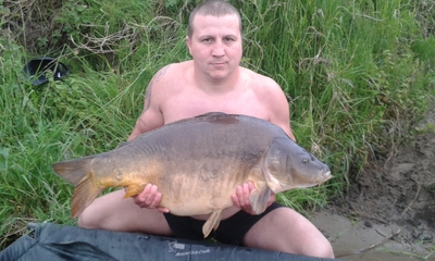 Mirror carp