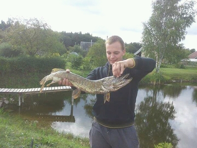 Northern Pike