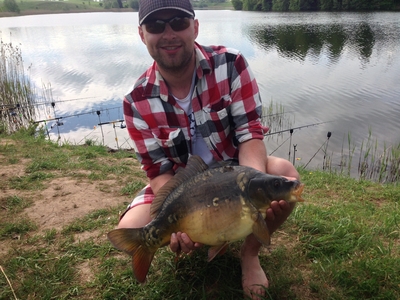 Mirror carp