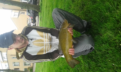 Tench