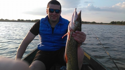 Northern Pike