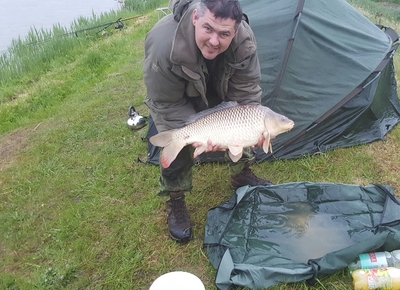 Mirror carp