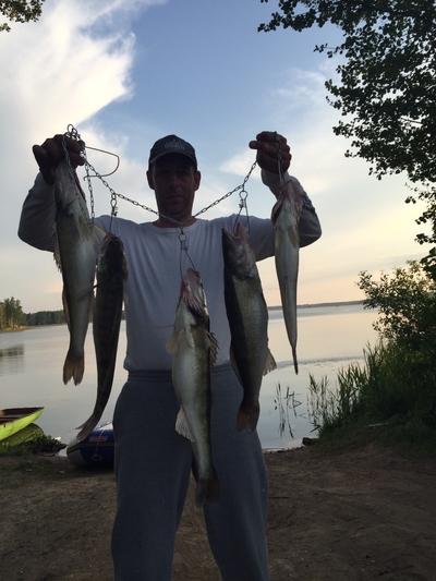 Pike perch