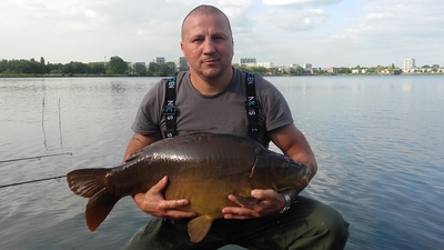 Mirror carp