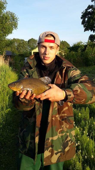 Tench