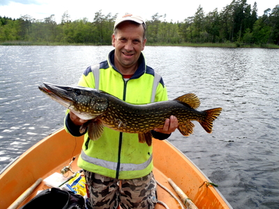 Northern Pike