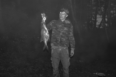 Carp bream