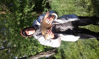 Carp bream