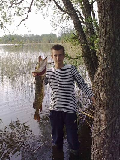 Northern Pike