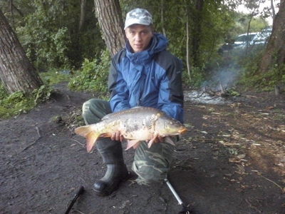 Mirror carp
