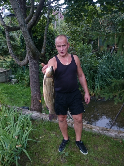 Grass carp