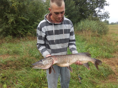 Northern Pike