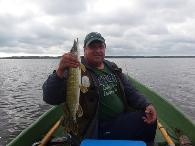 Northern Pike
