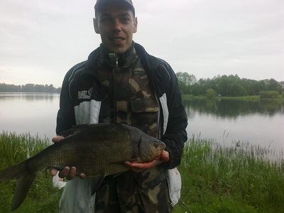 Carp bream