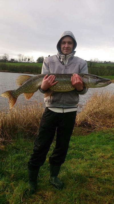Northern Pike