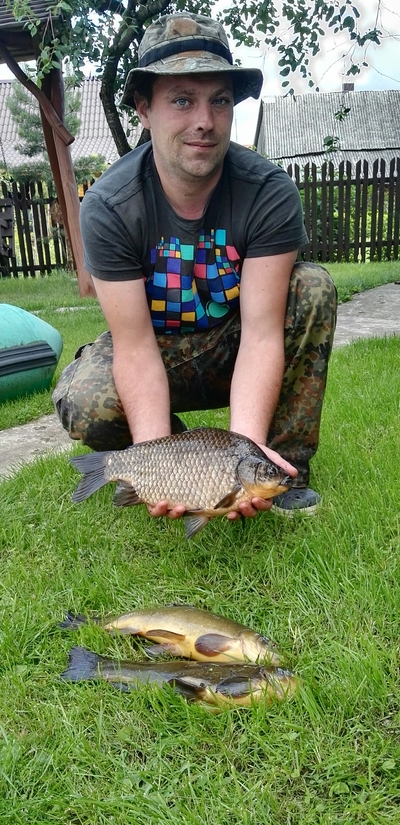 Prussian carp