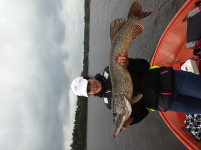 Northern Pike
