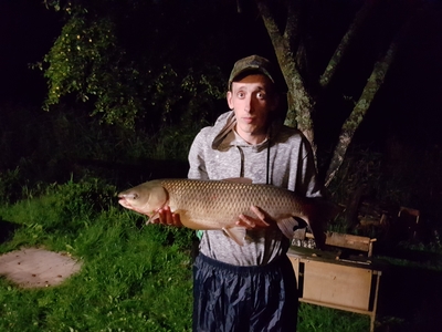 Grass carp