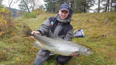 Atlantic salmon