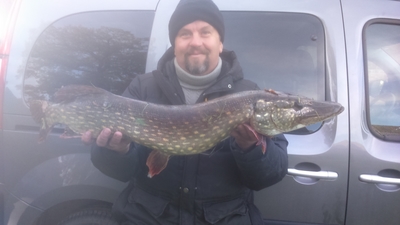 Northern Pike