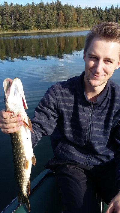 Northern Pike