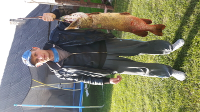 Northern Pike
