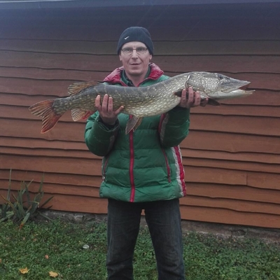 Northern Pike