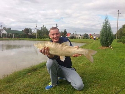 Grass carp