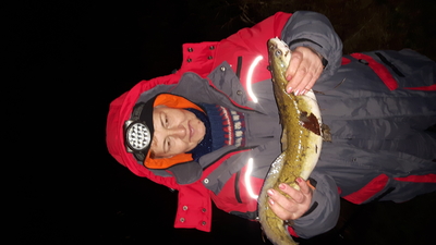 Burbot