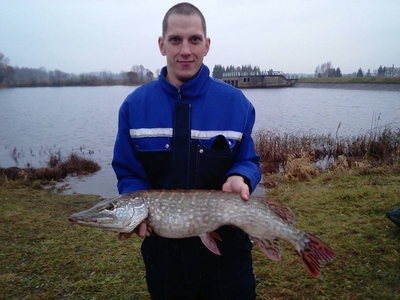 Northern Pike