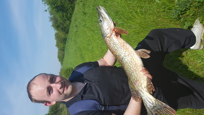 Northern Pike