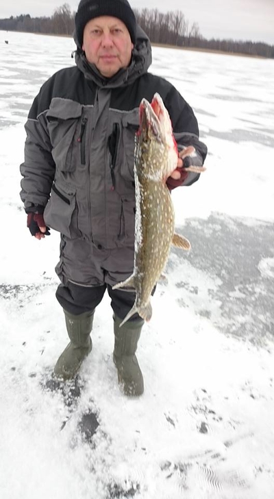 Northern Pike