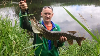 Northern Pike