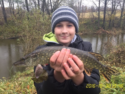 Northern Pike