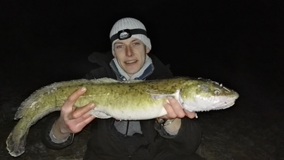 Burbot
