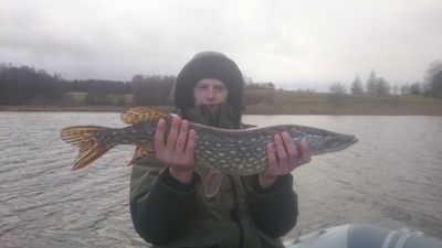 Northern Pike
