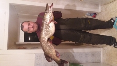 Northern Pike