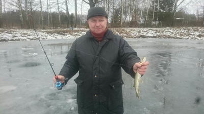 Northern Pike