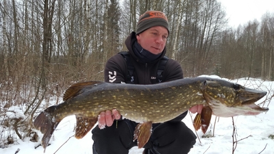 Northern Pike