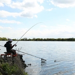 Fisherman myfeeder