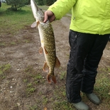 Fisherman demigodddas