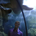 Fisherman AlPli