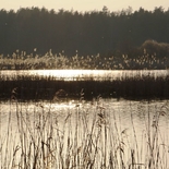 Fisherman ZVEJAAS