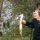 Fisherman Mantasan